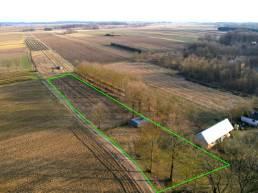 Działka usługowa Tarnogród