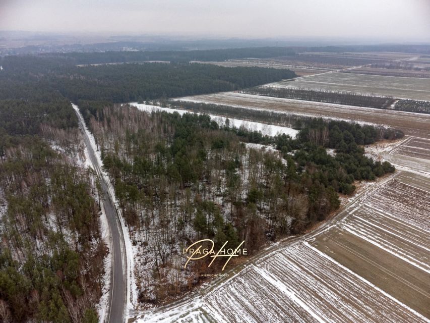 Działka leśna Wyśmierzyce