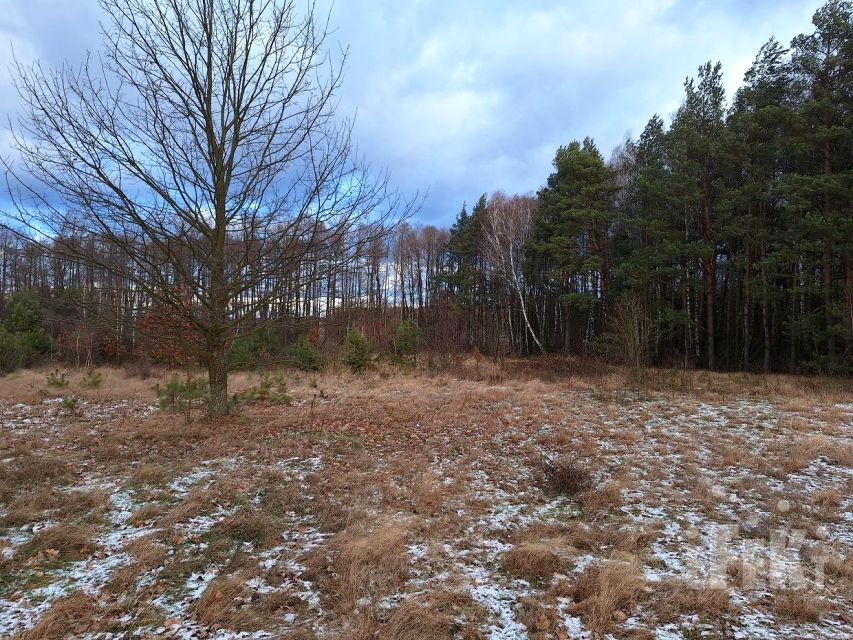 Działka siedliskowa Gurba