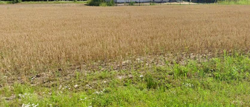 Działka budowlana Pruszków