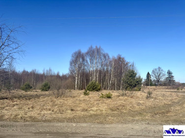 Działka Będźmierowice