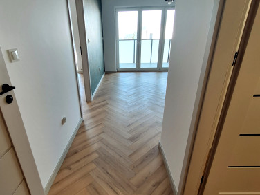 Mieszkanie Chełmiec