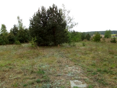 Działka budowlana Głębocko sprzedam