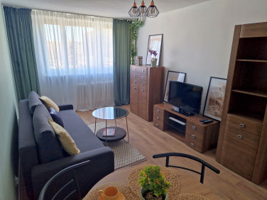 Mieszkanie Opole wynajem