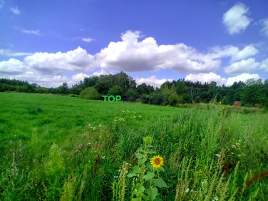 Działka siedliskowa Książenice