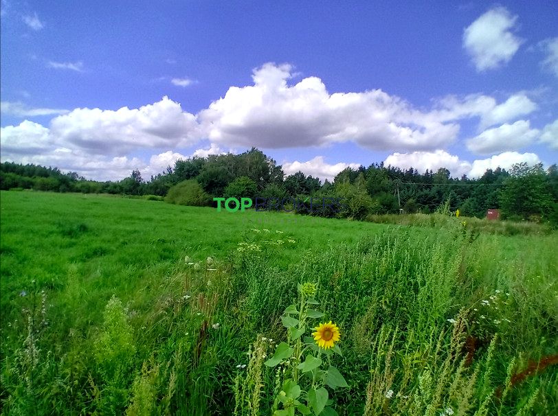 Działka siedliskowa Książenice