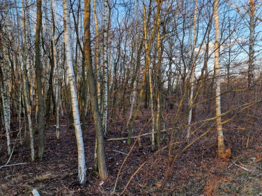 Działka budowlana Milanówek