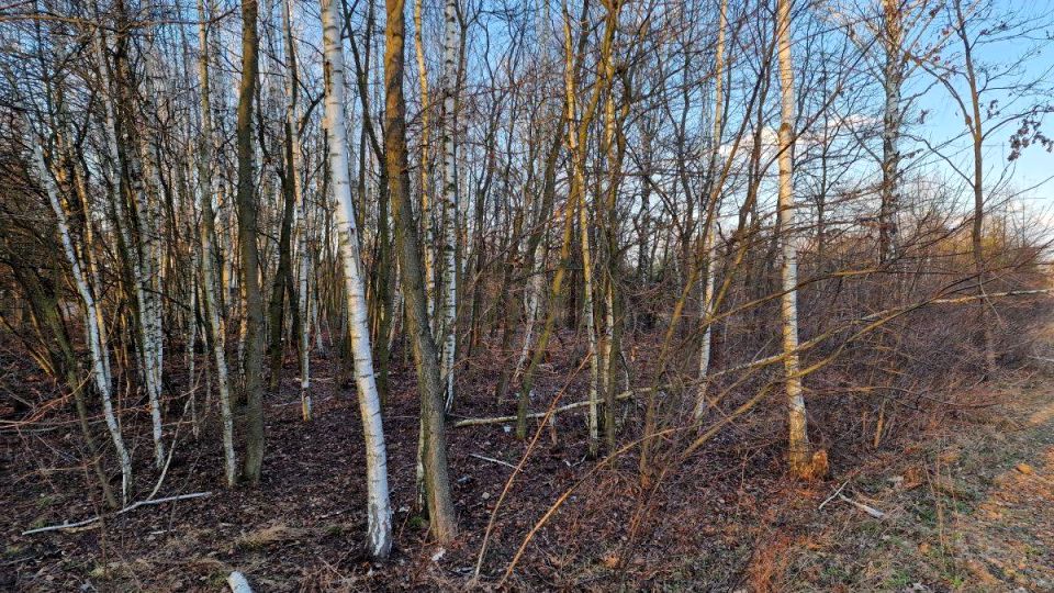 Działka budowlana Milanówek