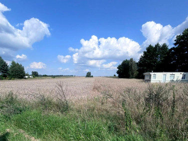 Działka budowlana Kosewo