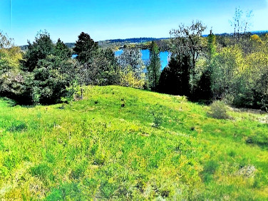 Działka budowlana Żywy