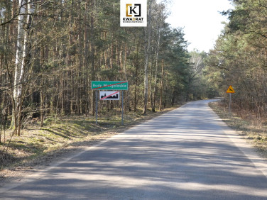 Działka Budy Wielgoleskie