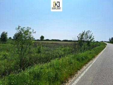 Działka budowlana Przytoka sprzedam