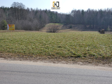 Działka Budy Wielgoleskie