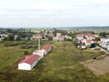 Działka przy lesie