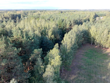 Działka budowlana KORZENIÓWKA