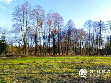 Działka budowlana Adamów-Parcel