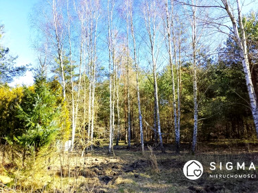 Działka budowlana Adamów-Parcel sprzedam