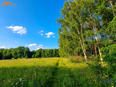 Działka budowlana Dolsk
