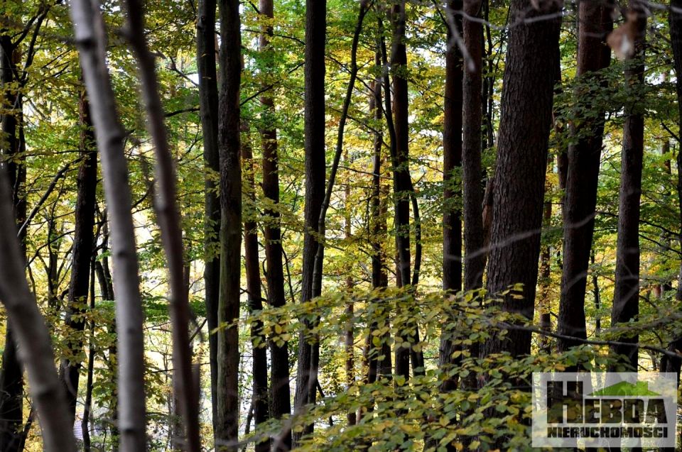 Działka rolna Nowa Jastrząbka