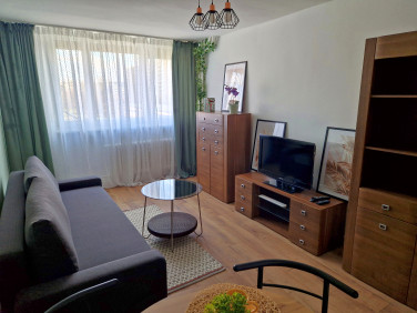 Mieszkanie Opole wynajem