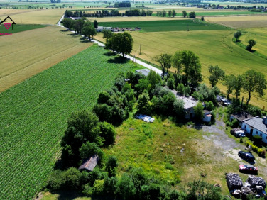 Budynek użytkowy Strzelno Klasztorne