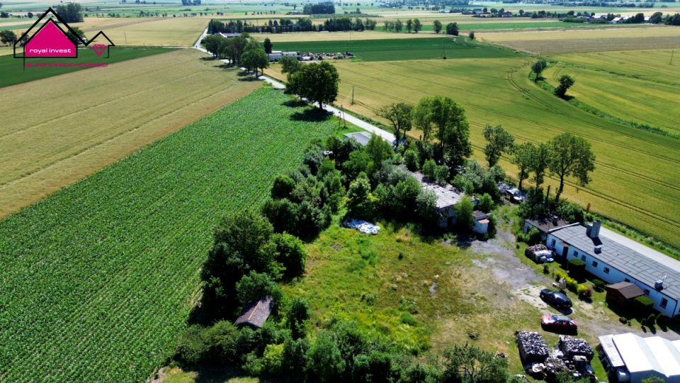 Budynek użytkowy Strzelno Klasztorne