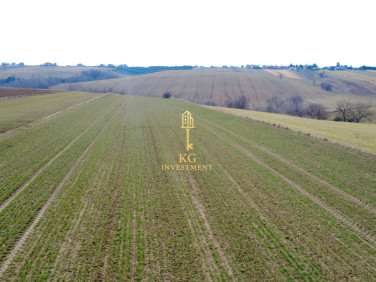 Działka budowlana Celiny