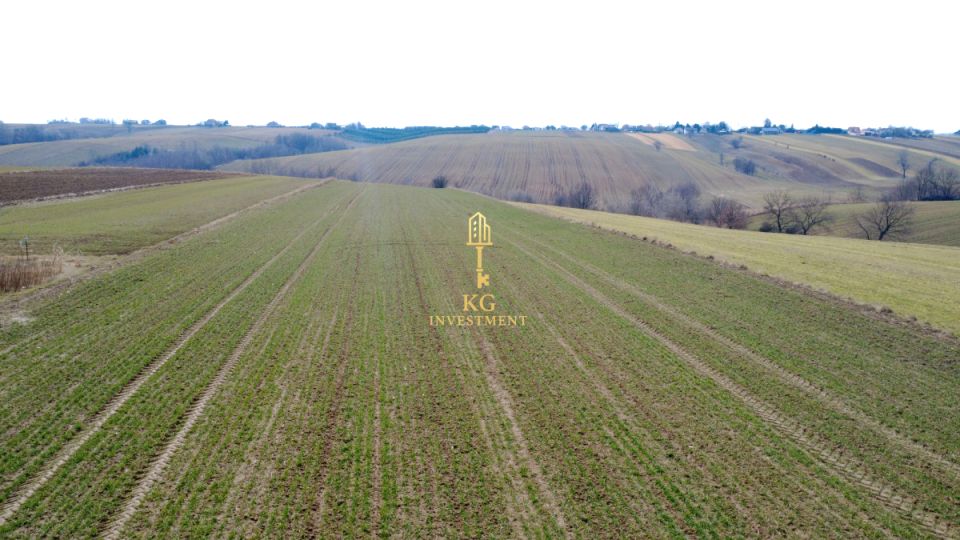 Działka budowlana Celiny