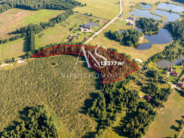 Działka leśna Szczecinek