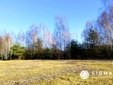 Działka Badowo-Dańki