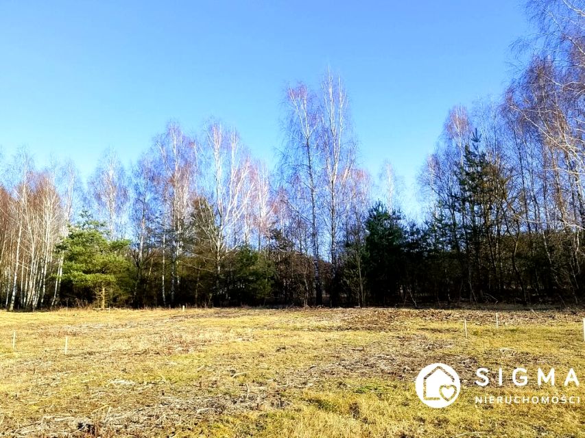 Działka Badowo-Dańki