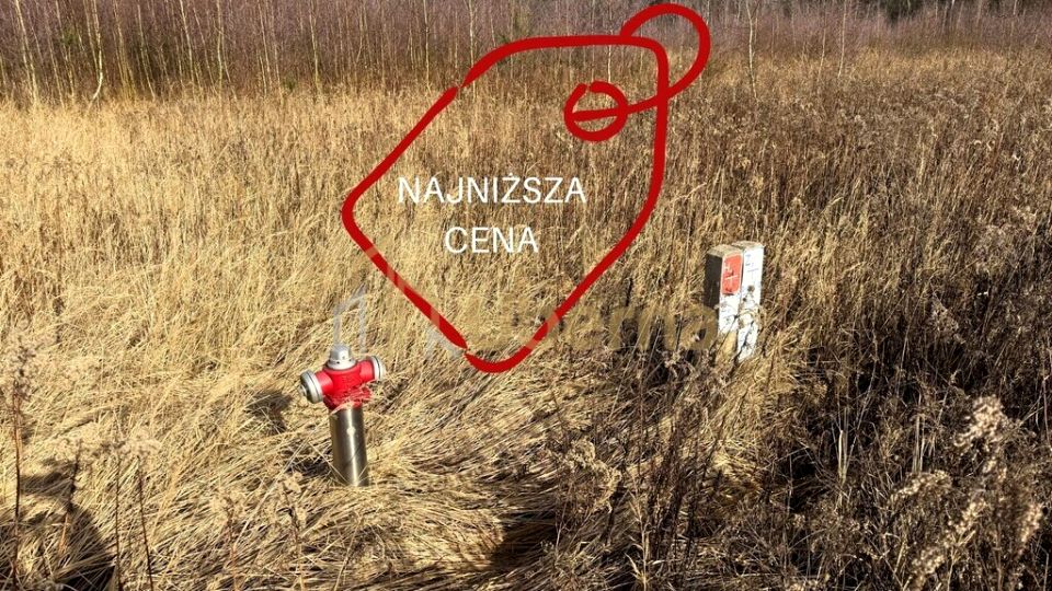 Działka Żółwia Błoć