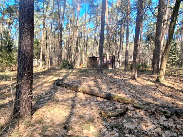 Działka budowlana Sokolniki-Las