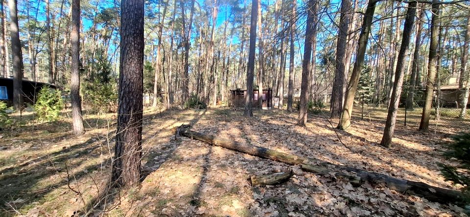 Działka budowlana Sokolniki-Las