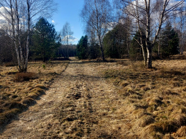 Działka rolna Zielona Góra