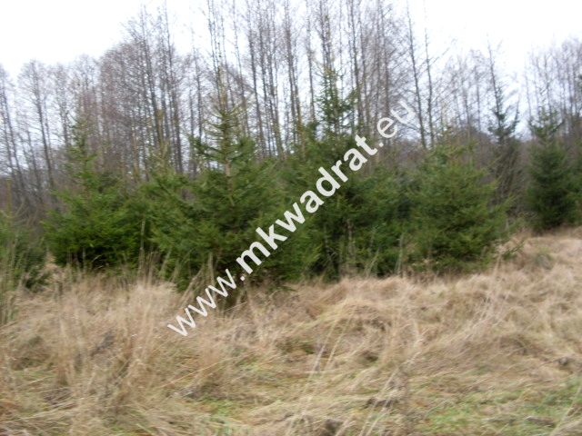 Działka rolna Korabiewice