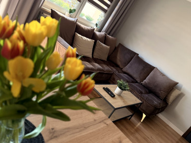 Mieszkanie przy lesie