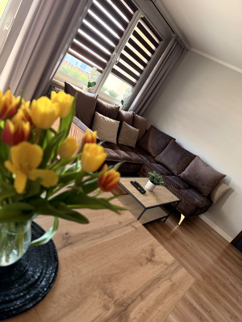 Mieszkanie przy lesie