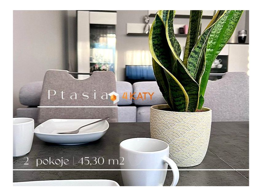 Mieszkanie Zielona Góra