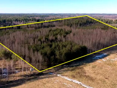 Działka leśna Grzegorze sprzedam