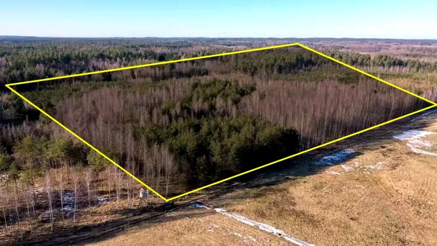 Działka leśna Grzegorze sprzedam