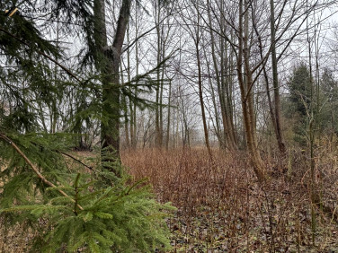 Działka inna Łekno