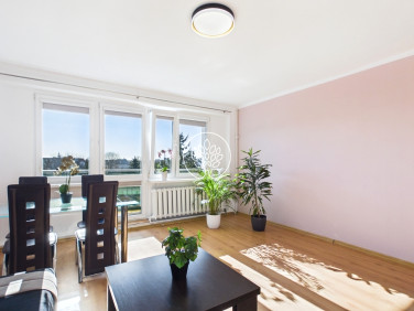 Mieszkanie Bydgoszcz wynajem