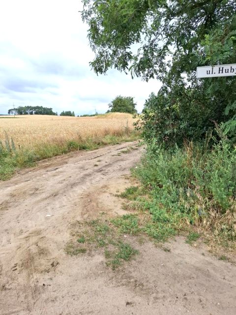 Działka Grzebienisko