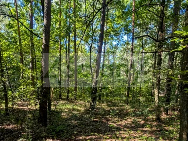 Działka budowlana Władysławów