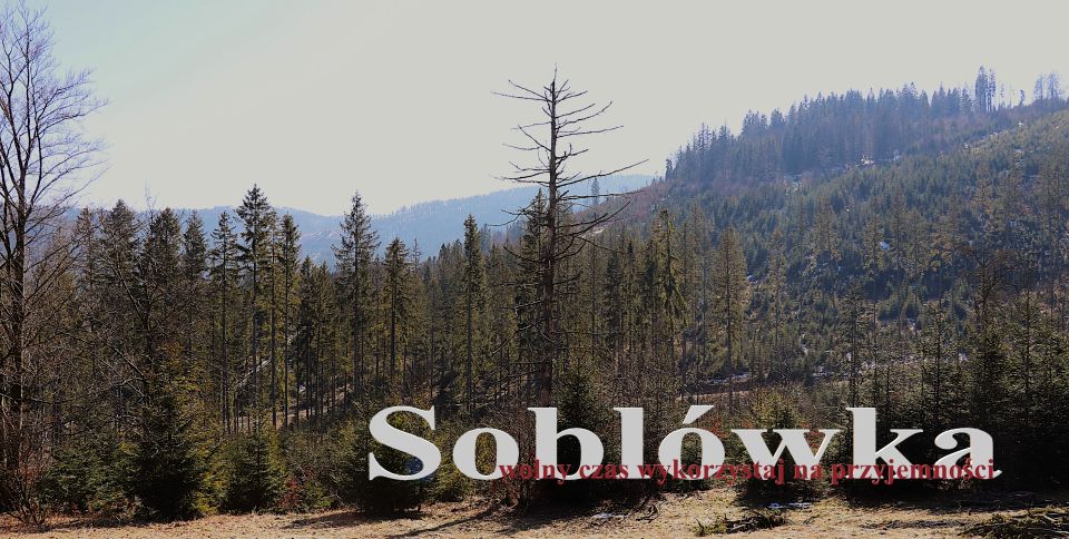 Działka budowlana Soblówka sprzedam