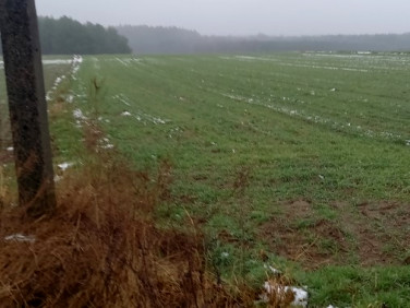 Działka budowlana Daniec