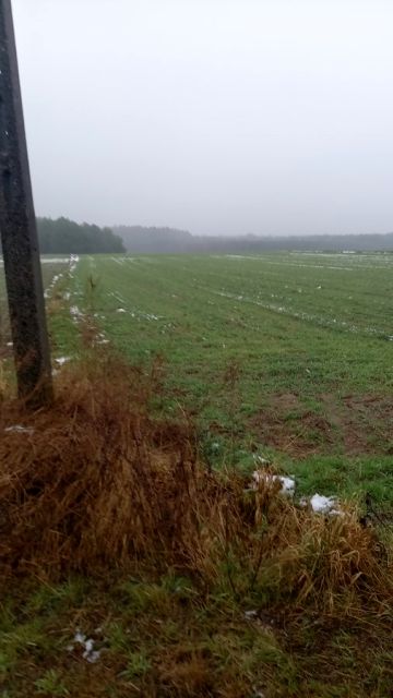 Działka budowlana Daniec