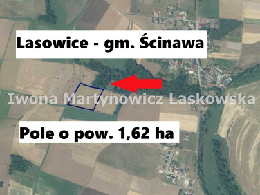 Działka Ścinawa