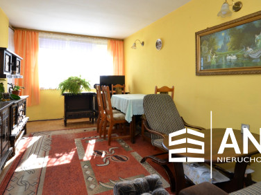 Mieszkanie Zabrze